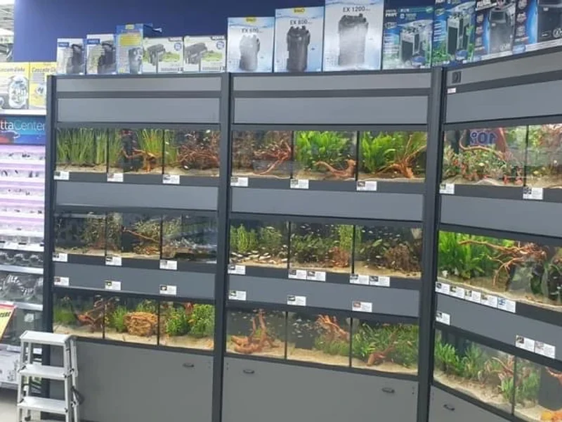 ZooCenter Targu Mures