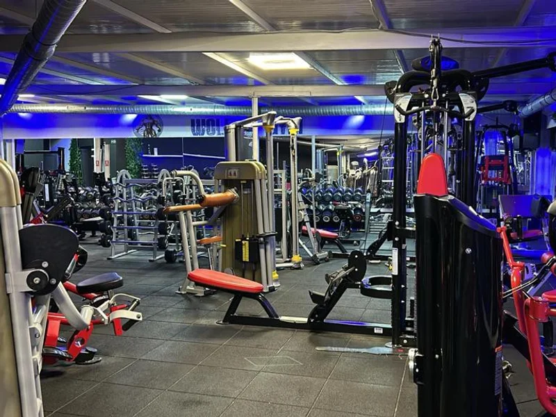 Wolf Gym Fitness & Bodybuilding