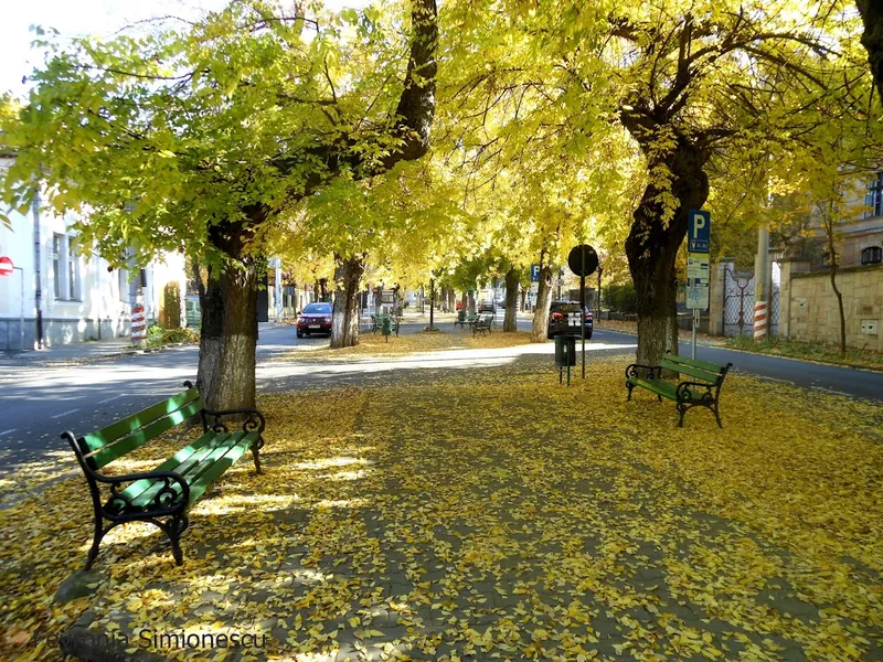 Parcul Bulevardul Cetatii