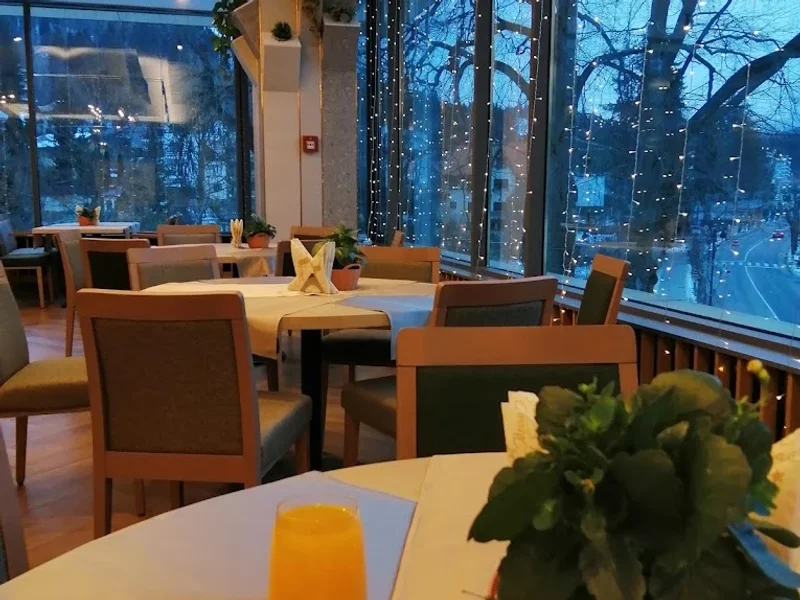 Hotel Internațional