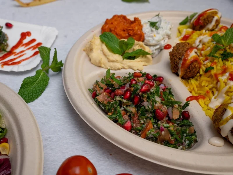 Floria Falafel & Grill DN