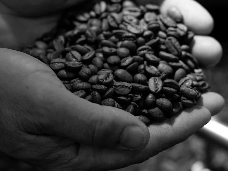 Rosteriet Vadstena I Kaffebar I Café I Coffee rostery | Fika