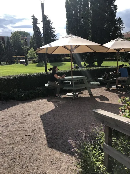 Tantens Gröna Parkcafé – Gula Villan