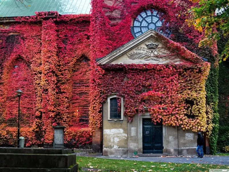 S:ta Clara kyrka