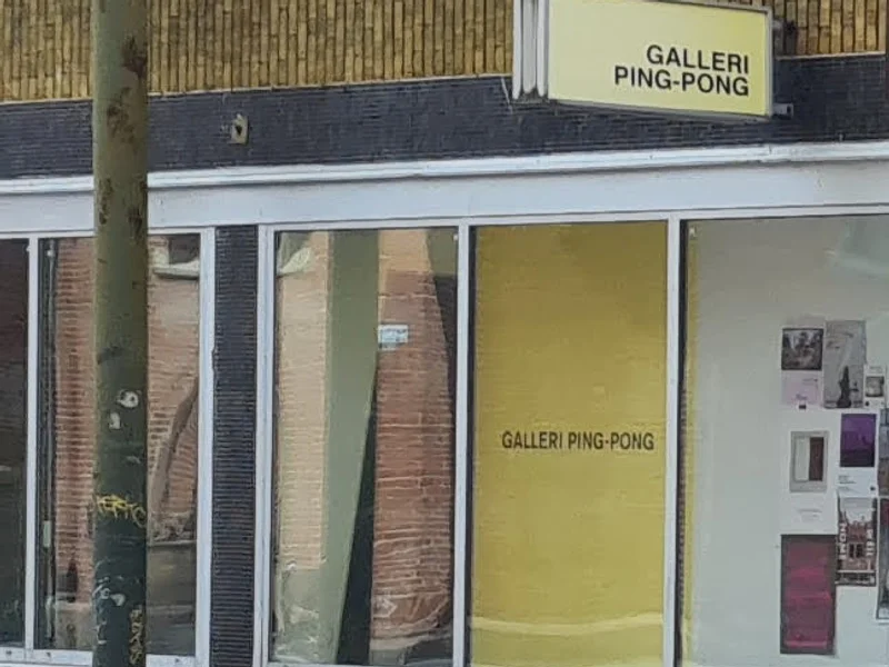Galleri Ping-Pong