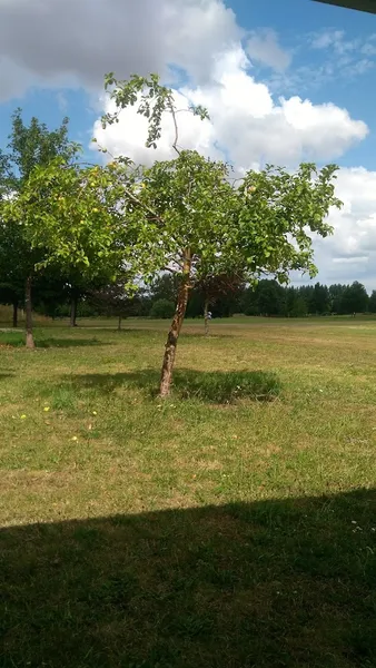 Kävlinge Golfklubb