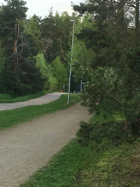 Domarringen Discgolfbana