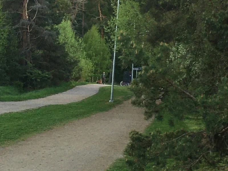 Domarringen Discgolfbana