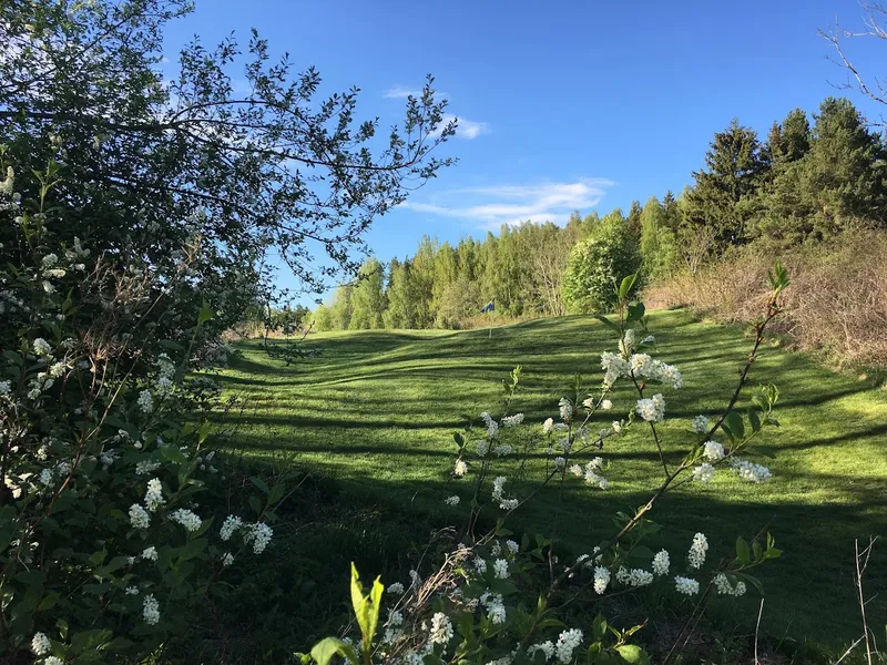 Uppsala Fotbollsgolf