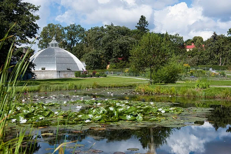 Bergianska trädgården