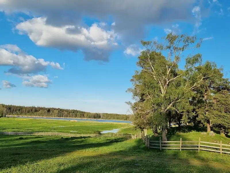 Västra Järvafältets naturreservat