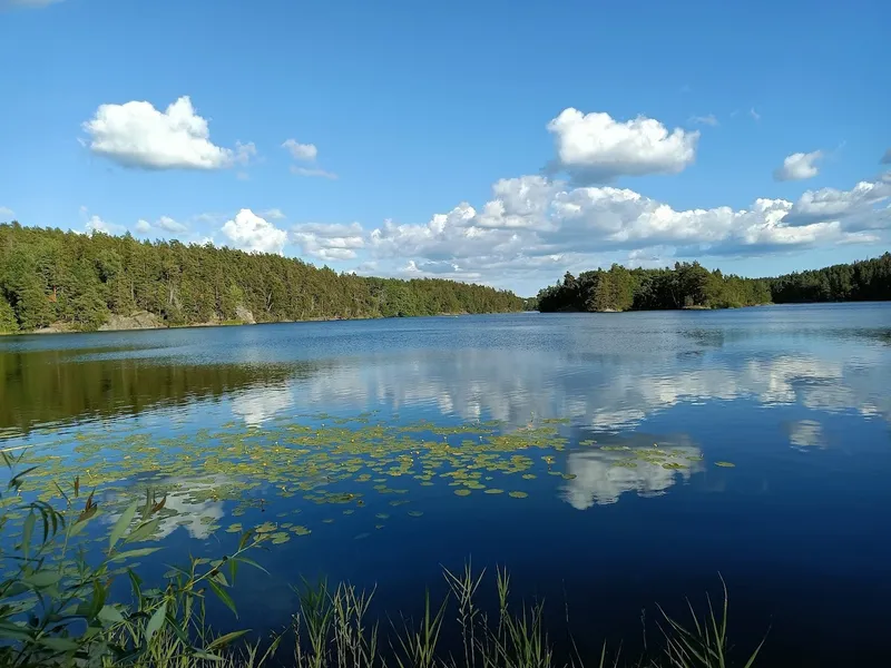 Velamsunds naturreservat