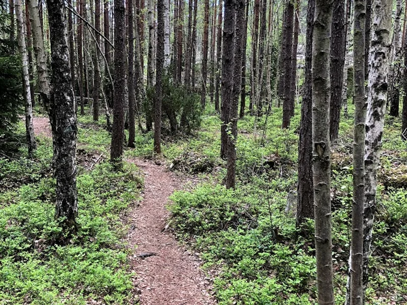 Södra Törnskogens naturreservat