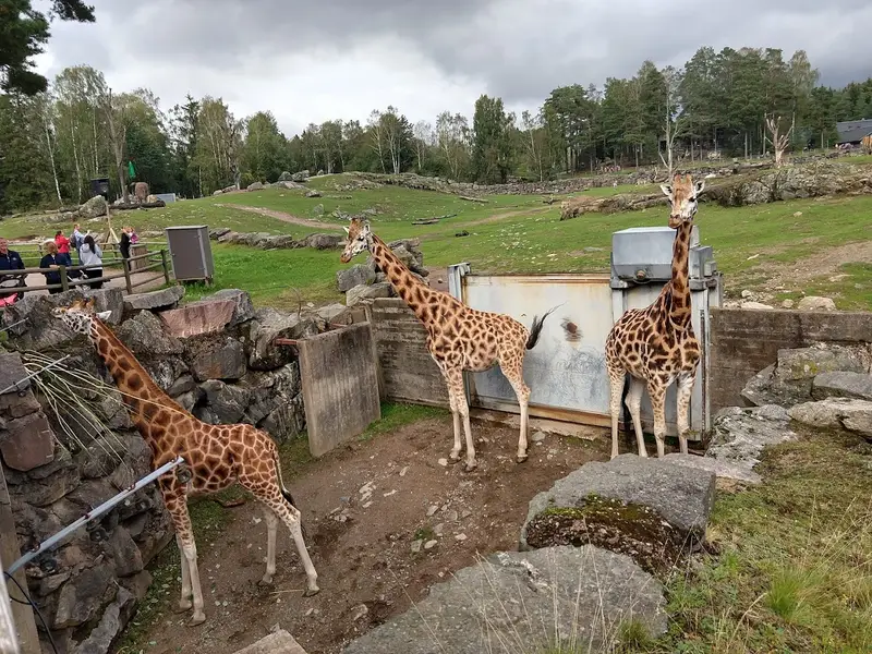 Borås Djurpark
