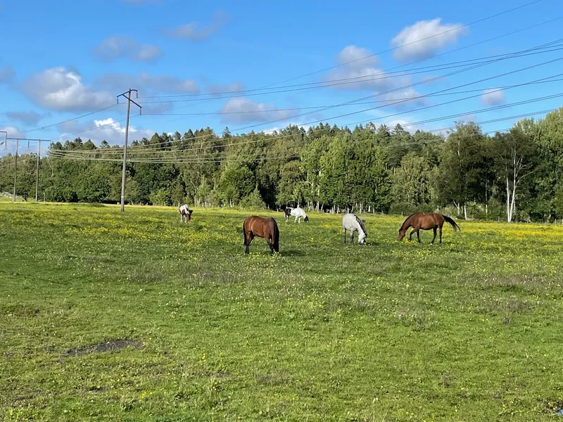 Kättilsröds 4H-Gård