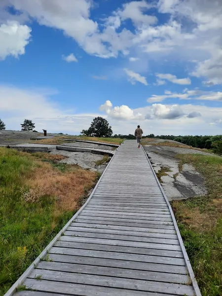 Himmelstalunds hällristningar