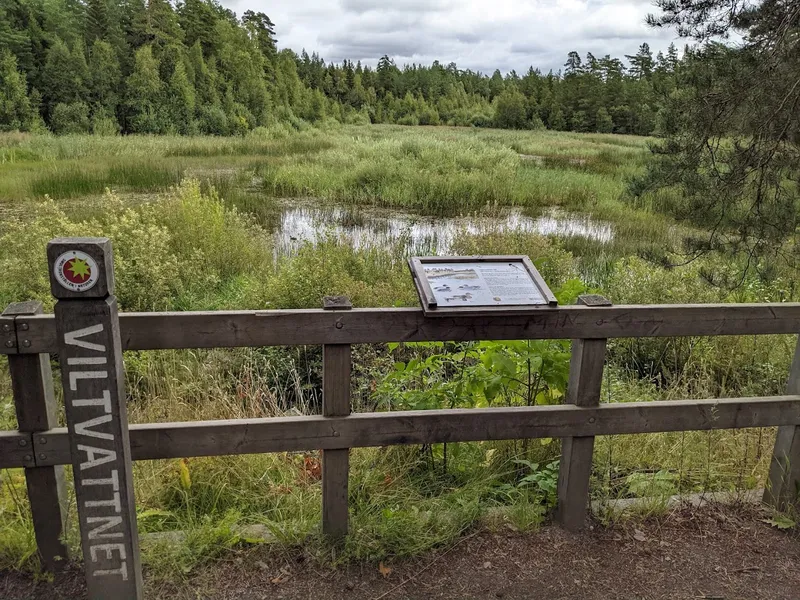 Viltvattnet i Vedyxaskogen