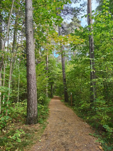 Stadsskogens naturreservat