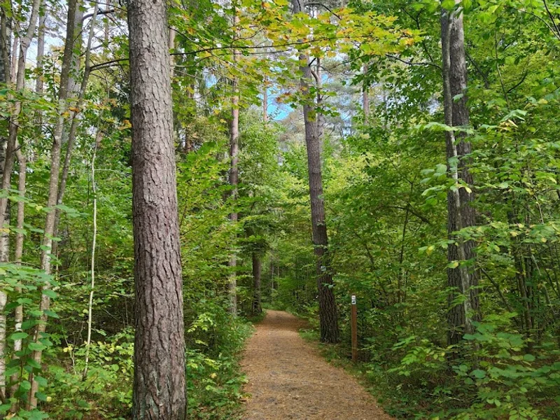 Stadsskogens naturreservat