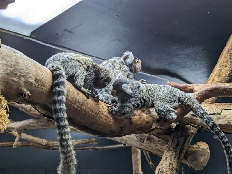 Varbergs Tropikarium