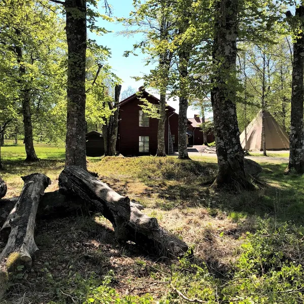 Kungajaktmuseet Älgens Berg