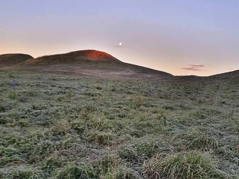 Gamla Uppsala museum