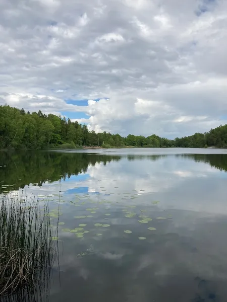 Långsjöns naturreservat