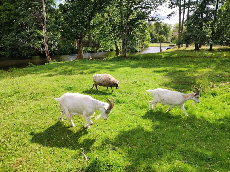 Nolhagas lekplats