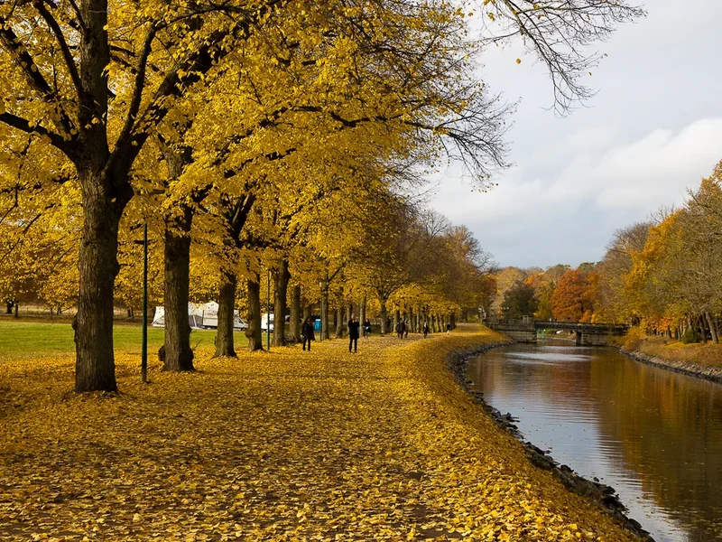 Kungliga Djurgården