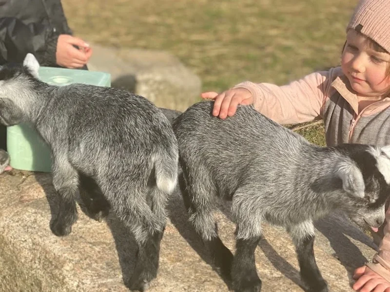 Söderåsens Älgpark