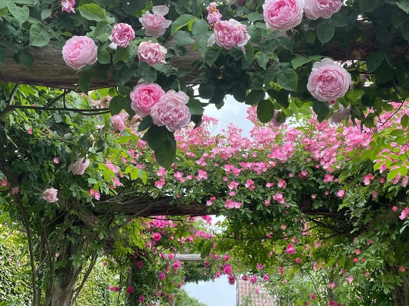 Den Engelska Trädgården