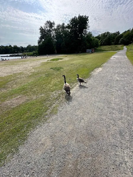 Farsta strandbad