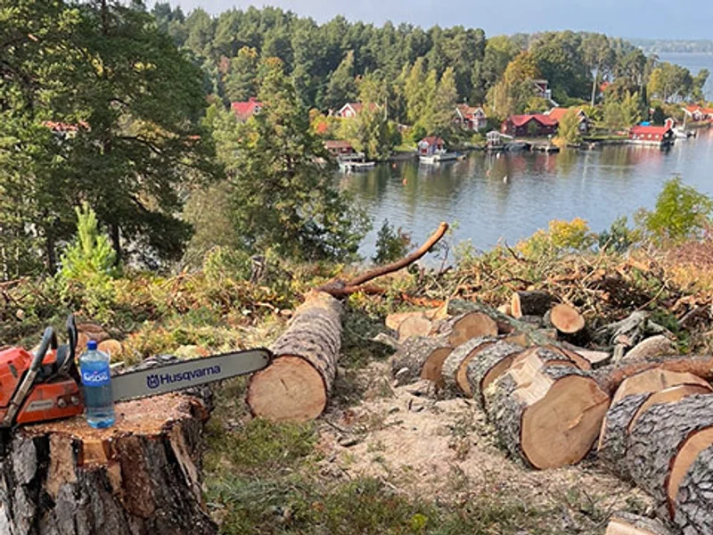 Vitellus - Trädfällning Vaxholm