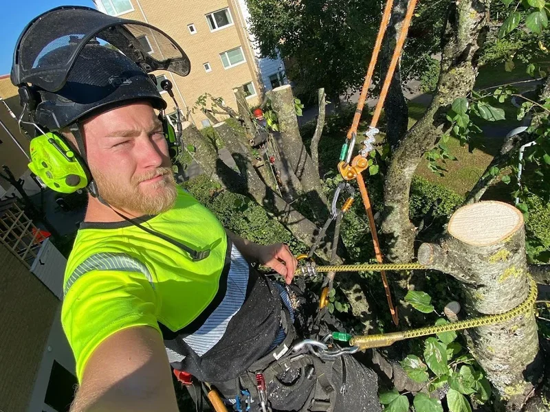 Bergströms Trädtjänst AB