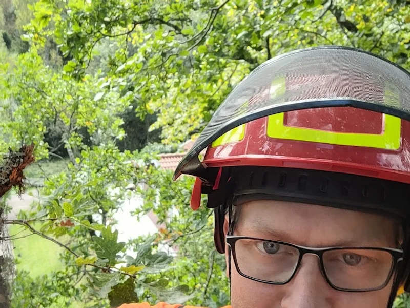 Träd och skogstjänst i Väst