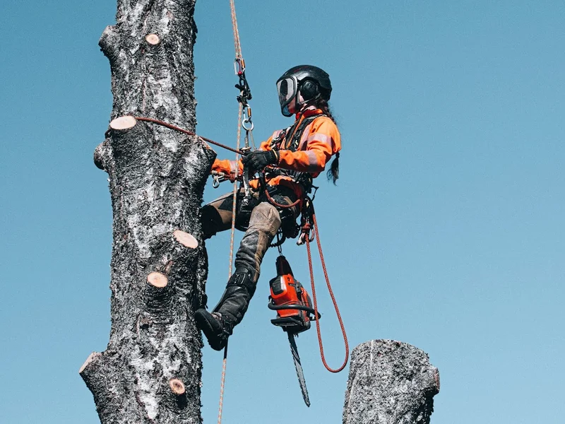Olivia Eggen Trädtjänster AB