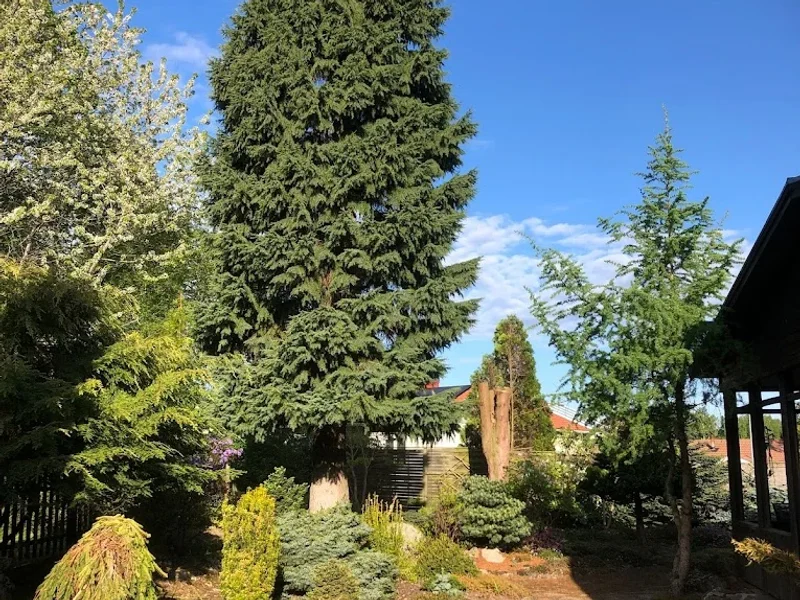 Bergers Trädtjänst