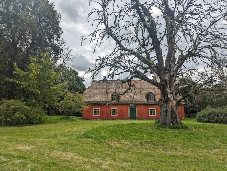 Bitterna Trädvård