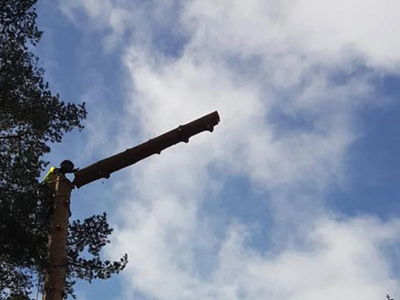 Brantes Arboristtjänst AB