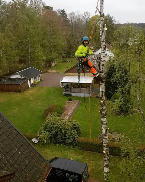 ProArb Träd & Arboristtjänst AB