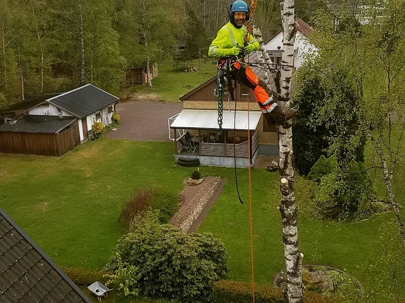 ProArb Träd & Arboristtjänst AB