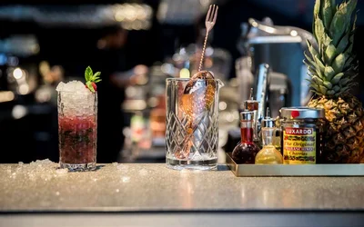 Lista 19 hotellen som tillåter djur i Gothenburg Västra Götaland