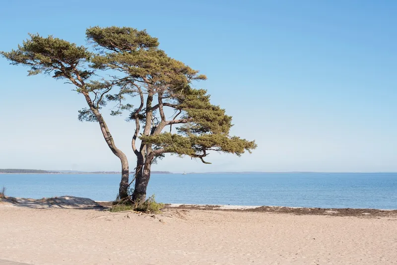 Åhus Seaside