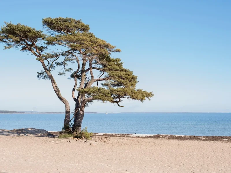 Åhus Seaside