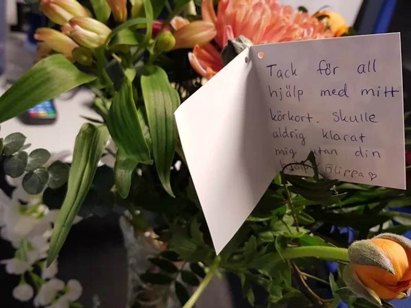 Noll Vision i Fokus Trafikskola i Trollhättan