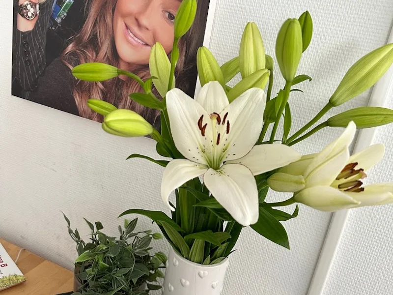 Trafikskolan Maria B