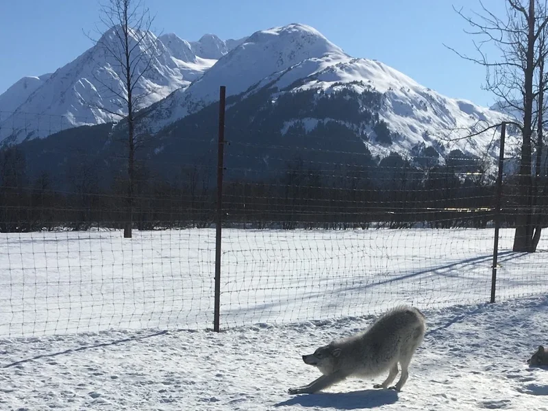 Skandinavisk Yoga och Meditationsskola Stockholm