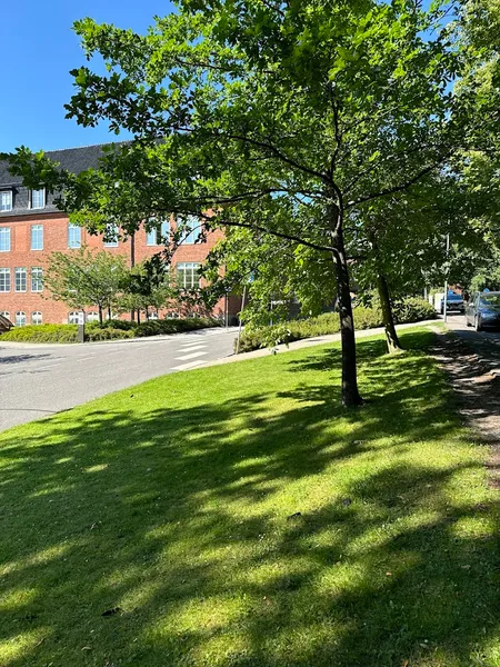 Svenska Kyrkan I Lund