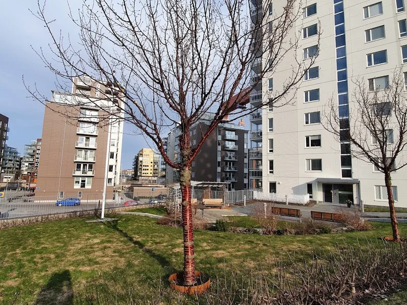 Färjenästerrassen - Lekplats 501