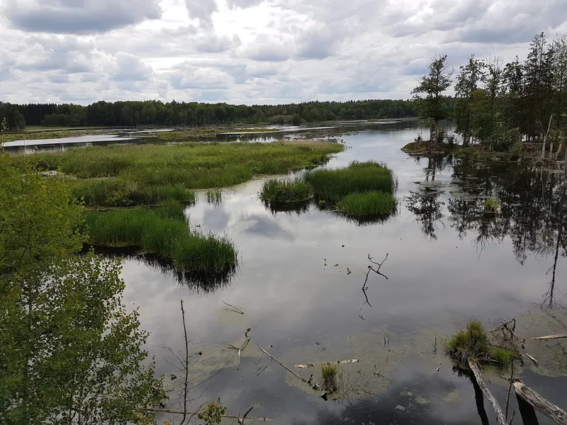 Tinnerö Eklandskap